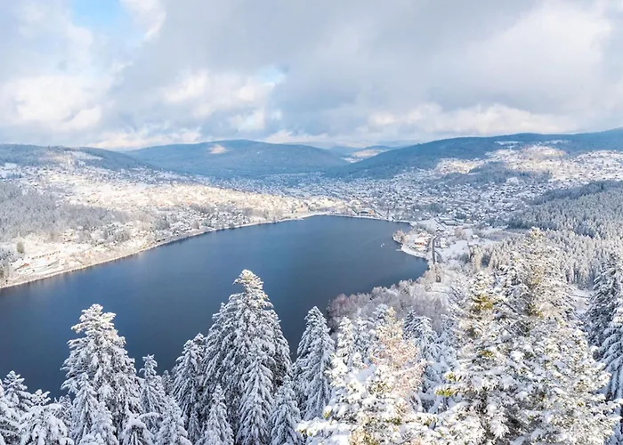 House With Terrace Near The Holiday home Gerardmer